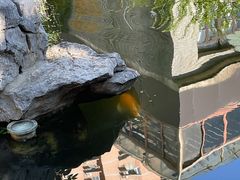 -南京市民俗博物馆(甘熙故居)