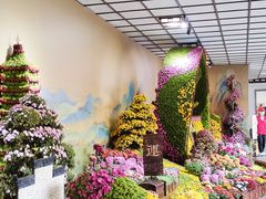 -杭州植物园