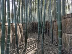 -陶祖圣境风景区