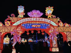 -丁香湖公园