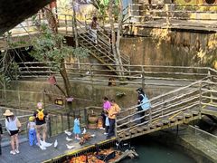 -海南槟榔谷黎苗文化旅游区