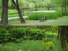 -上海共青森林公园