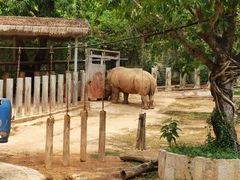 -深圳野生动物园