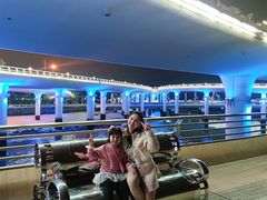 -演武大桥观景平台