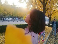 -三里屯东五街银杏大道