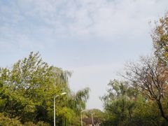 -北京鹫峰国家森林公园