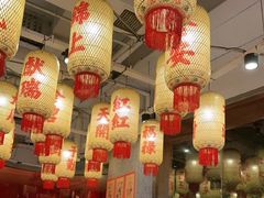 -朱光玉火锅馆(正弘城店)