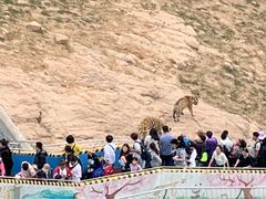 -西霞口神雕山野生动物世界