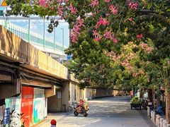 -南美元生态大酒店(海珠店)