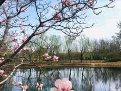 -古塔公园