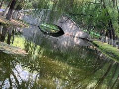 -长白岛森林公园