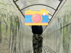 -丹东天桥沟景区