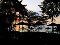 -卷心菜和避孕套餐厅(Pattaya)