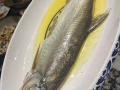 鸡汁白鱼-南京大牌档(崇文门国瑞店)