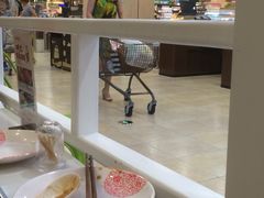 阿香婆欢乐火锅-阿香婆欢乐火锅(淄博万象汇店)