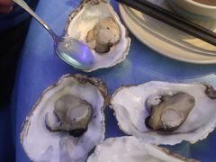 -千岛蚝高压锅生蚝·人参火锅(白云万达店)