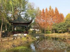 -月湖风景区