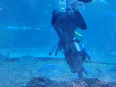 -华夏文旅海洋公园