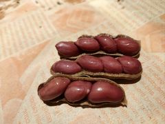 -京B·东篱精酿啤酒音乐餐厅