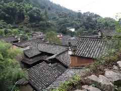 -杨家堂村