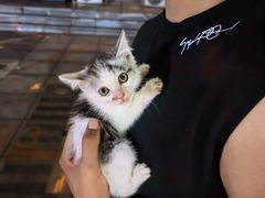 -爱派特动物医院·全科诊疗中心