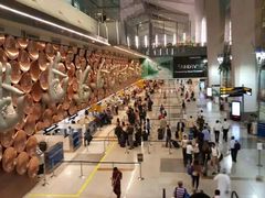 -英迪拉·甘地国际机场