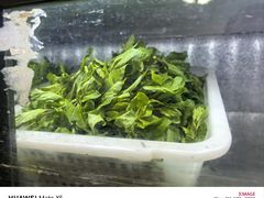-清真开吉餐厅(新都雅苑店)
