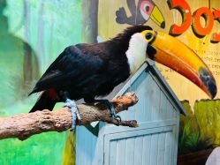 -Zoolung Zoolung动物主题公园(海信广场店)