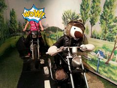 -济州岛泰迪熊博物馆