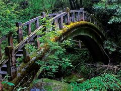 -神农架香溪源景区