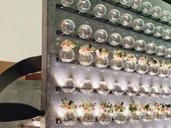 -密苏里·吖咪KTV火吧