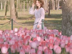 -大宁郁金香公园-停车场