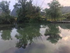 -靖西鹅泉风景区