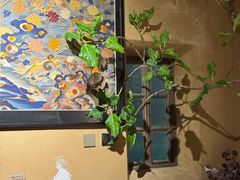 -Carmen卡门西班牙餐厅