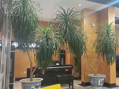 -海音琴行雅马哈钢琴·海伦·施特劳斯(金沙店)