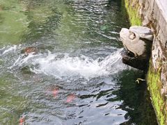 -环城公园