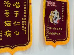 -守诺宠物医院·眼科· 神经外科·爬宠专科(虹口店)