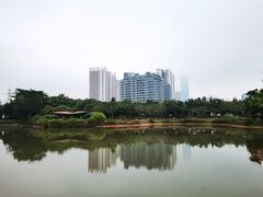-福田红树林生态公园