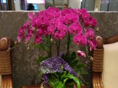 -杭州西湖柳莺里酒店·闻莺厅