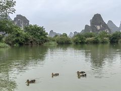 -明仕田园