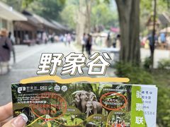 -野象谷景区