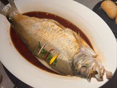 清蒸白水鱼-醉庐·新上海菜(南京西路店)