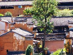 -杨家堂村