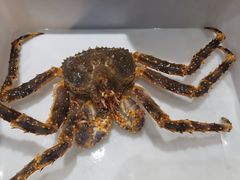 -蟹后Crabber(水悦城店)