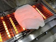 饵块-内涵饵块