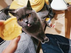 -南宋胡记(杭州灵隐寺店)