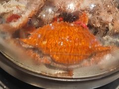 -半岛听涛蒸汽海鲜自助(K11店)