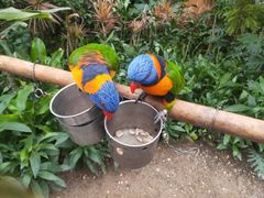 -南宫五洲植物乐园