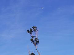 -板樟山森林公园