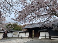 -醍醐寺
